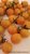 Aprikosenkirsche Kirschtomate