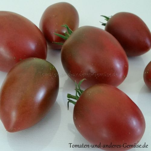 Purple Russian Tomate