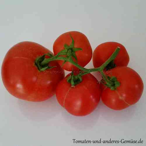 Bojarskij Tomate