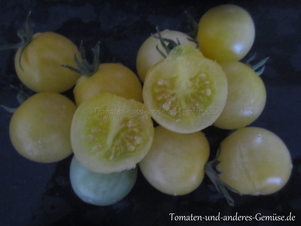 Tomate WHITE CHERRY Tomatensamen Samen weisse Cherrytomate samenfest samenecht 