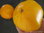 Tangerine Fleischtomate