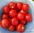 Saschas Altaj Buschtomate Tomate Saatgut Samen