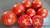 Tigerella gestreifte Tomate