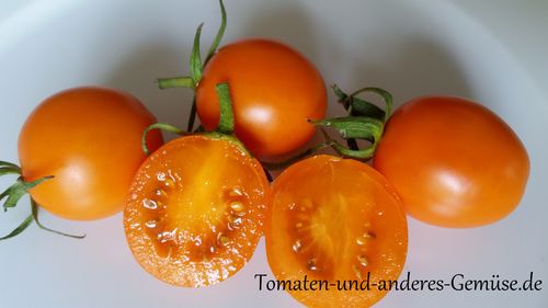 Oranges Pfläumchen Tomate