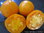 Tangerine Fleischtomate Tomatenpflanze Jungpflanze
