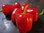 Mini Bell Red PAPRIKA JUNGPFLANZE