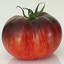 xn--tomaten-und-anderes-gemse-1wc.de